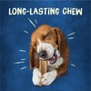 Purina Busy Bone Adult Dog Chew Bone Treats, Original -