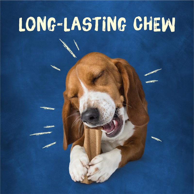 Purina Busy Bone Adult Dog Chew Bone Treats, Original -