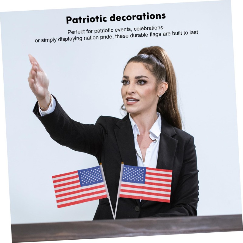 Ipetboom 20pcs Handheld Stick Flags Set Usa Germany Flags for