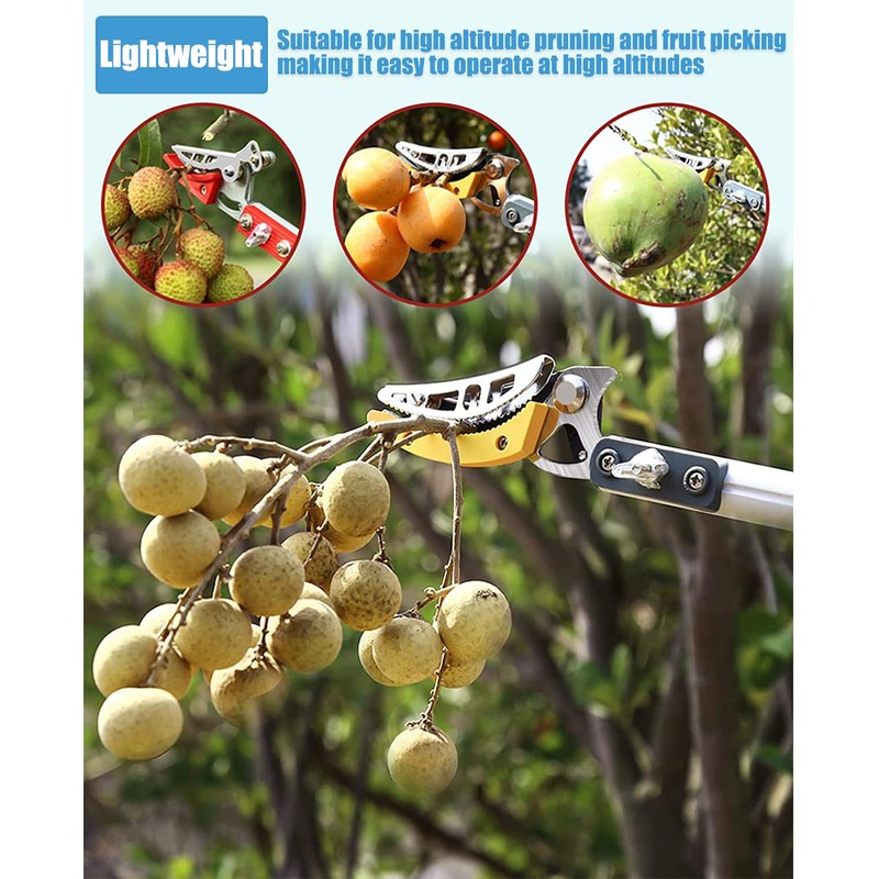 xixi-home 4.6-9.8 Ft Cut and Hold Pruners Long Reach Pole