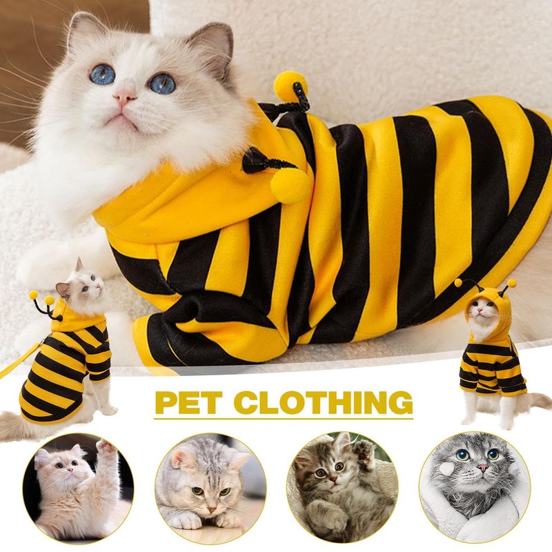 Cat Bee Costume Cat Outfits Halloween Cat Costume Pet Bee