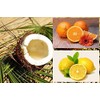 Dufte Momente Whirlpool Fragrance Coconut Orange Citrus 500 ml