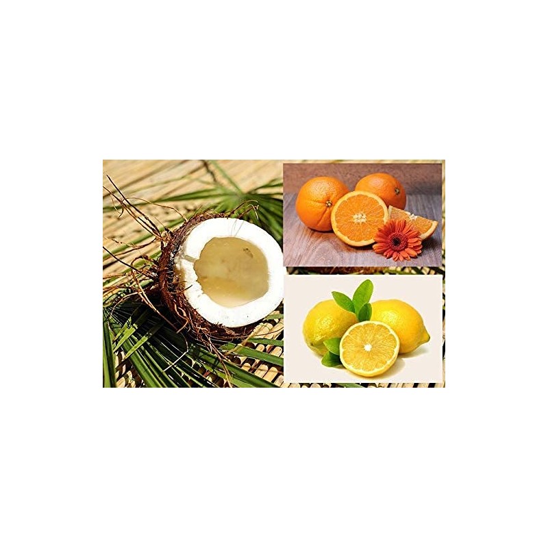 Dufte Momente Whirlpool Fragrance Coconut Orange Citrus 500 ml