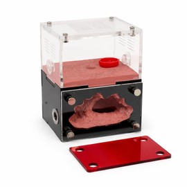 CaveView Small-Ant Nest for New Queens and Small Colonies with Clear Outworld and Long Lasting Humidity System, Approx. 9 x 7 x 11 cm, 3.54 x 2.76 x 4.33 in, 12mm Expansion Port, Red Observation Cover