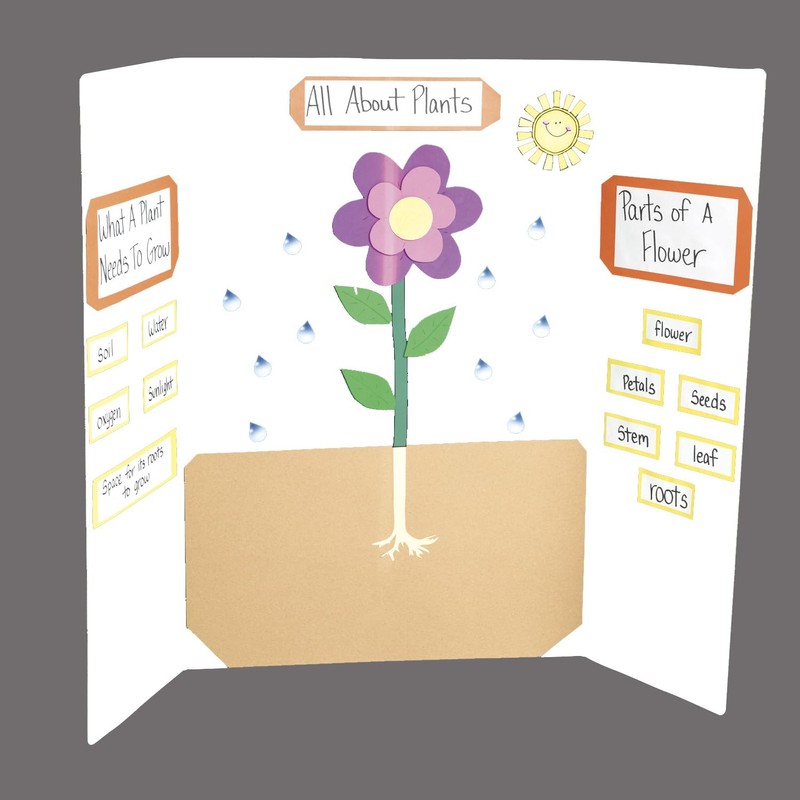 White Tri-fold Display Board, Corrugated Cardboard, 36 x 48 inches