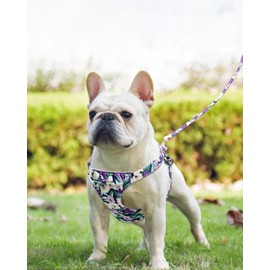 Dote on No Pull Dog Harness and Lead Set, Soft Adjustable Puppy Cat Harness, Floral/Plaid Escape Proof Pet Vest Harness for Extra Small/Small Medium Dogs, Dark Purple Flower, M