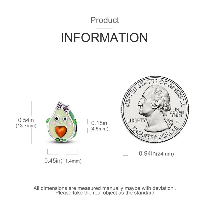 Hapour 925 Sterling Silver Charms for Bracelets Necklace European Jewellery