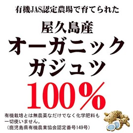 屋久島ガジュツ粒（100粒） [M便 1/3]