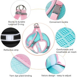 Dog Harness with Leash Set, Step-in Breathable Puppy Cat Dog Vest Harnesses, No Pull Adjustable Reflective Puppy Harness with Soft Padded Vest for Extra-Small/Small Medium Large Dogs and Cats