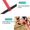 Fixed Agility Ladder Football Speed Rope Ladder for Football Exercise