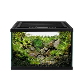 waazoorep Reptile Glass Terrarium Tank 12 * 12 * 8" Full View with Top Ventilation, Amphibians Box Habitat Enclosure Cage for Frog,Spiders,Dubia Cockroach,Praying Mantis,Cricket,Tarantula,Hermit Crab