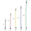 Bungee Cord Assortment - 20-Pack of Assorted Length Cordage with