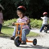 Winther WIN550 Circleline Tricycle, Small Grade Kindergarten to 1, 10.63"