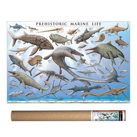 EuroGraphics Prehistoric Marine Life Poster, 36 x 24 inch