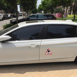 TIZIKJ Autoaufkleber 25cm(9.8 Inch) Berner Sennenhund Aufkleber Bernese Mountain Dog On Board Car Sticker Personalisieren Warnschild Reflektierende Aufkleber Berner Sennenhund Hund Wasserdichte Aufkleber