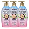 Organist Mildly Acidic Organist Himalayan Pink Salt Scaling Vegan Shampoo, 3 Pieces / 약산성 오가니스트 히말라야 핑크솔트 스케일링 비건 샴푸, 3개