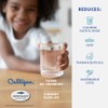 Culligan CUGMS Refrigerator Water Filter | Replacement for GE Water