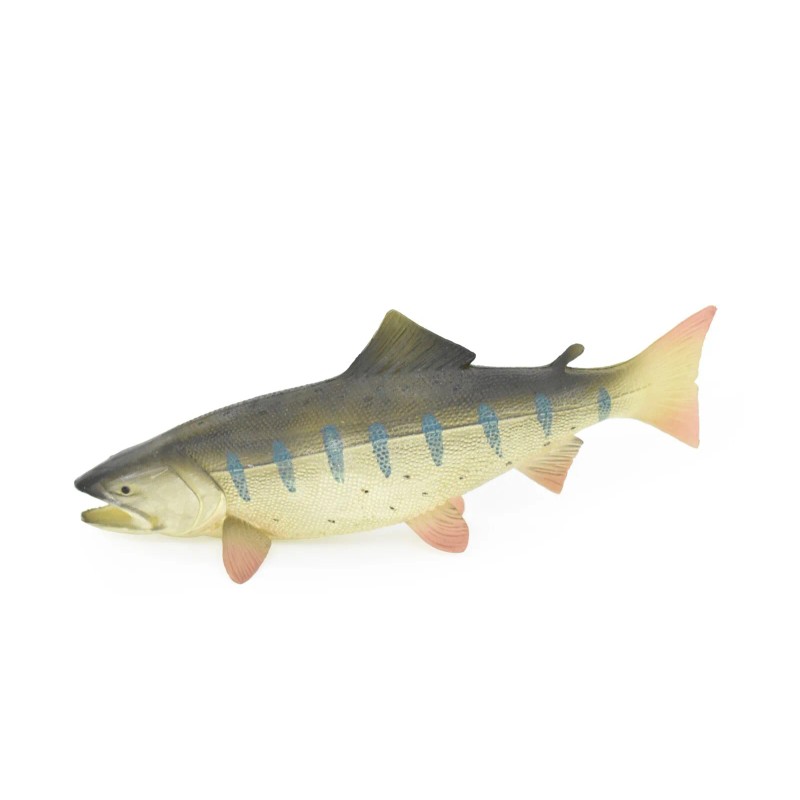 Deshen Du Salmon, King, Chinook, Fish Toy, Realistic Rubber Model,