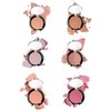 Set/Kit Rubor Blush en Polvo Para Rostro Bissú Nuevo (6