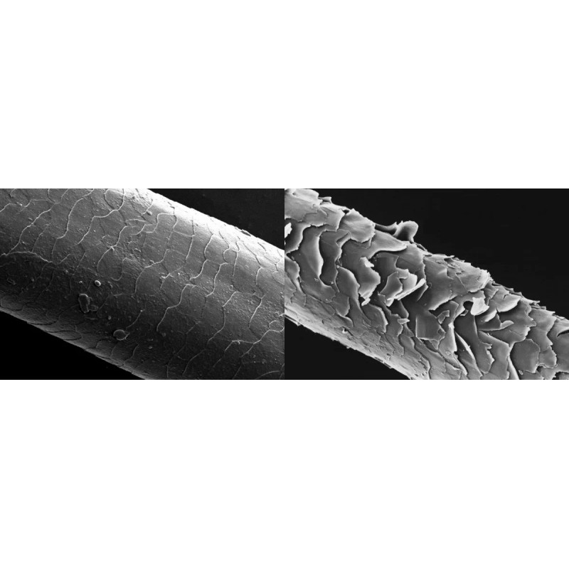 Keratina Vegetal (aditivo Cosmetico) 100 Gramos