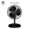 HOLMES 12" Table Fan, 75° Oscillation, 3 Speeds, 15° Adjustable