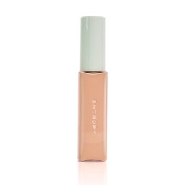 Entropy Organza Adhesion Foundation 25 No. 3 Tan Beige BNS / 엔트로피 오간자 밀착 파운데이션 25 3호 탠 베이지 BNS