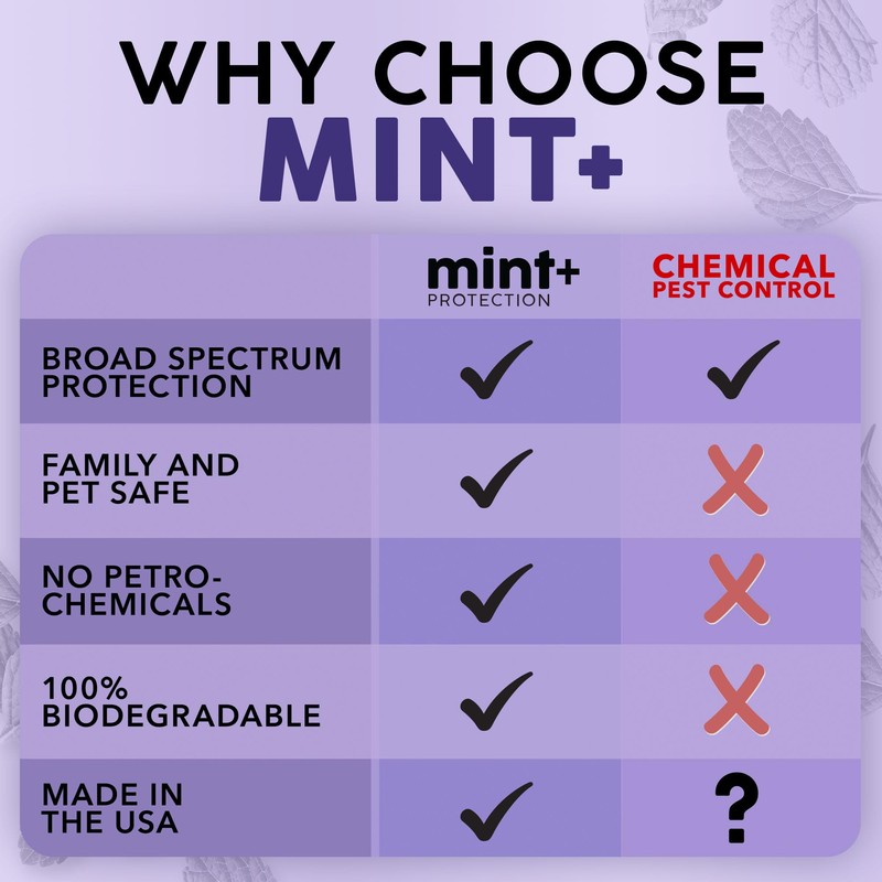 Mint+ Insect and Pest Control Spray, Residue-Free Bug Killer for