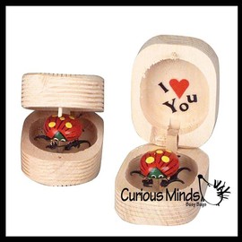 Love bug in Box Novelty Gift - Bugs Legs Wiggle So it Looks Alive - Wooden Hinged Box Nut Ladybug - Style: 4 RANDOM COLOR Bug Boxes