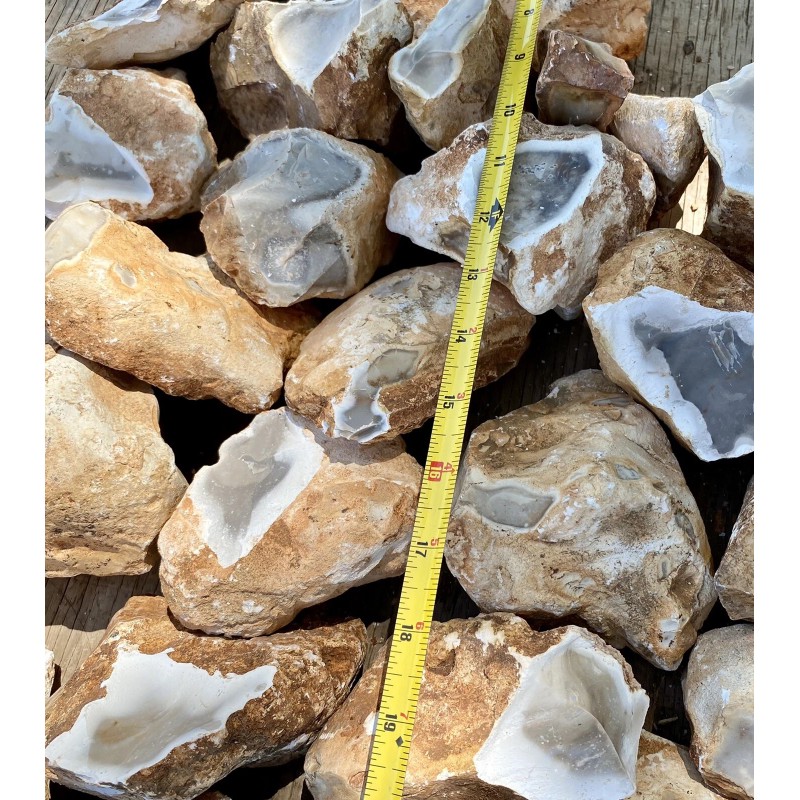 8+ POUNDS Central Texas “Edwards Plateau”Chert/