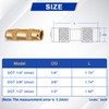 Daptemn 1/4" Quick Connect Air Hose Fittings, 15PCS DOT Brass