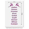 CraftStar Santa's Reindeer Names Stencil - Reusable Christmas Craft/Airbrush Stencil