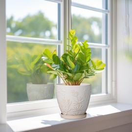 MPotTo MPotTo 6 Inch Ceramic Plant Pot for Indoor Plants Outdoor Round Planter Flower Pot with Drainage Hole and Saucer for Home Garden Office Decor White