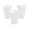Fun Express - White 9 Oz Paper Cup (24pc) -