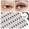 Bodermincer Lash Extension 240pcs D Curl 10D Individual Cluster Lashes