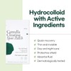 Petitfee Parches Centella Spot Hydrocolloid Acne Patch with Tea Tree