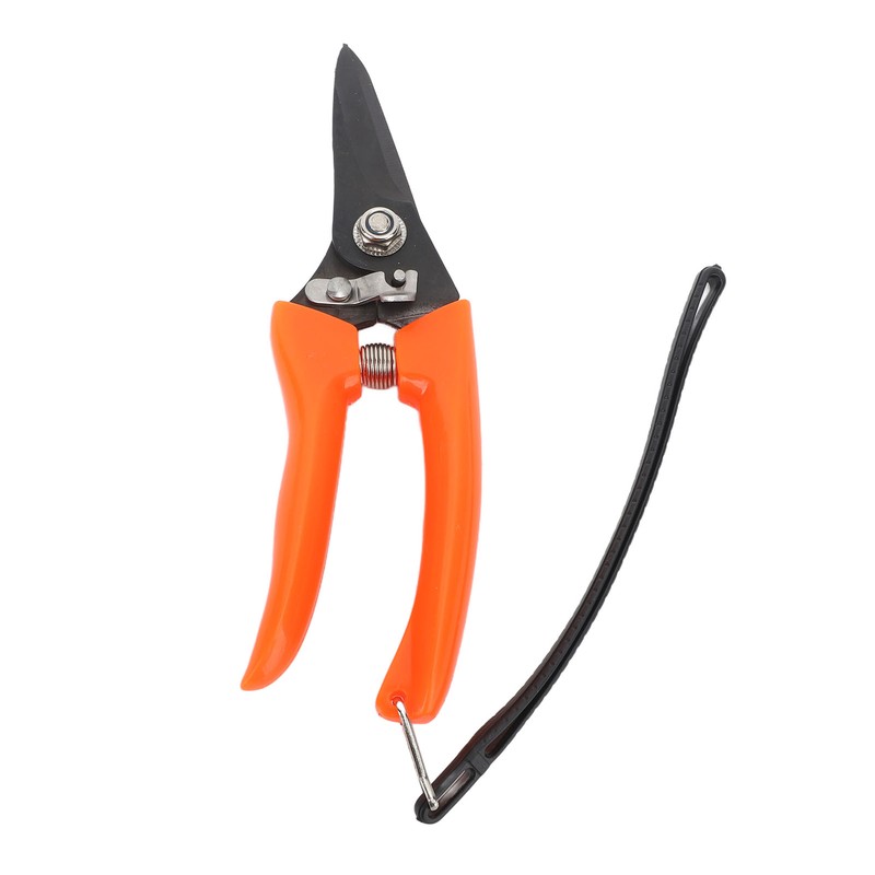Hoof Shear Red Stainless Steel High Carbon Steel Multifunctional Hoof