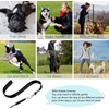 UAOOK 2 Pack Dog Whistle, Dog Whistles for Recall, Ultrasonic