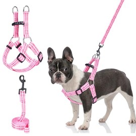 BEAUTYZOO No Pull Small Dog Harness and Leash Set, No Chock Puppy Step in Vest Harness Nylon Lightweight Neck&Chest Adjustable for Dogs Girls and Boy, Pet Harness for Small Medium Dogs