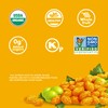 Sun-Maid California Golden Raisins - 12 oz Sharing-Size Box -