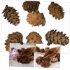 CAXUSD 50 Pcs Small Artificial Pine Cones Decorative Natural Pine