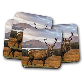4 Set - Stag Coaster - Red Deer Scotland Men's Highlands Mountains #14361