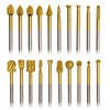 20pcs Rotary Bits Burr Set with 1/8 inch Shank for