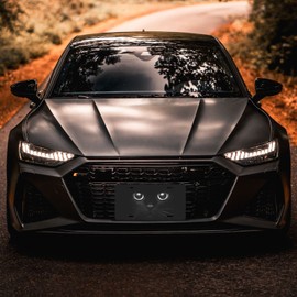 Black Cat Eyes Watching Front License Plate Aluminum Decorative License Plates Funny Metal Car Plate 6"X12" Novelty Vanity Tag Cover with 4 Holes Car Decor Accessory