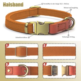 Qianruida Dog Collar and Lead Set, Dog Collar and Lead, Adjustable Dog Collar, Lead for Small, Medium, Large Dogs, Orange, M