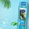 Suave Body Wash Ocean Breeze 2-Pack + Fresh Antiperspirant Deodorant