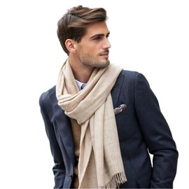 LA FERANI Men's Summer Scarf Cashmere 180 x 70 cm Thin for Formal Occasions Suit Elegant Style Classic Men's Scarf Gift for Him, beige