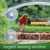 homebird Window Bird Feeder with Strong Suction Cups - (Upgraded