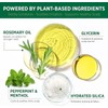 RoyceDerm Rosemary Mint Scalp Scrub for Oily, Flaky & Itchy