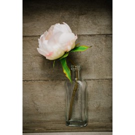 Richland Effie Bud Vase Set of 12 Apothecary Bottle Vintage Floral Centerpieces