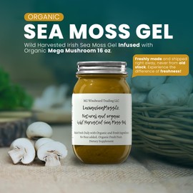 Pure Certified Wild Harvested Organic Sea Moss Gel Made Fresh (16 ounce, Soursop)